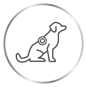 Canesten dog with ringworm icon